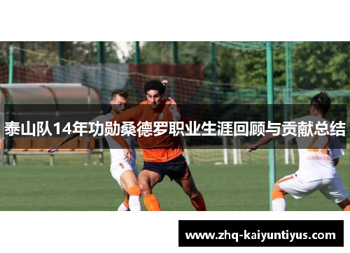 泰山队14年功勋桑德罗职业生涯回顾与贡献总结