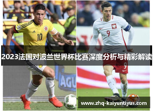 2023法国对波兰世界杯比赛深度分析与精彩解读